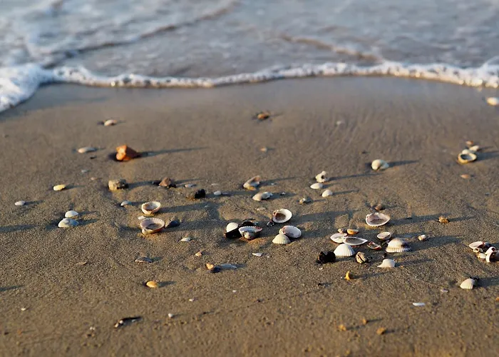 Lovely With Sea View *