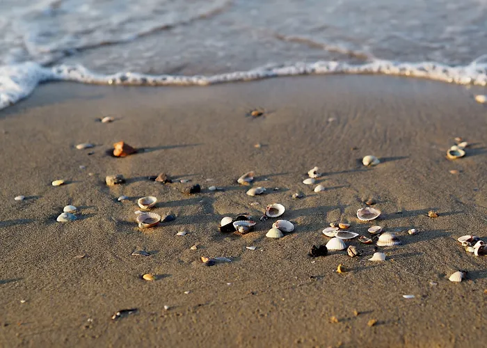 Lovely With Sea View Апартаменты *